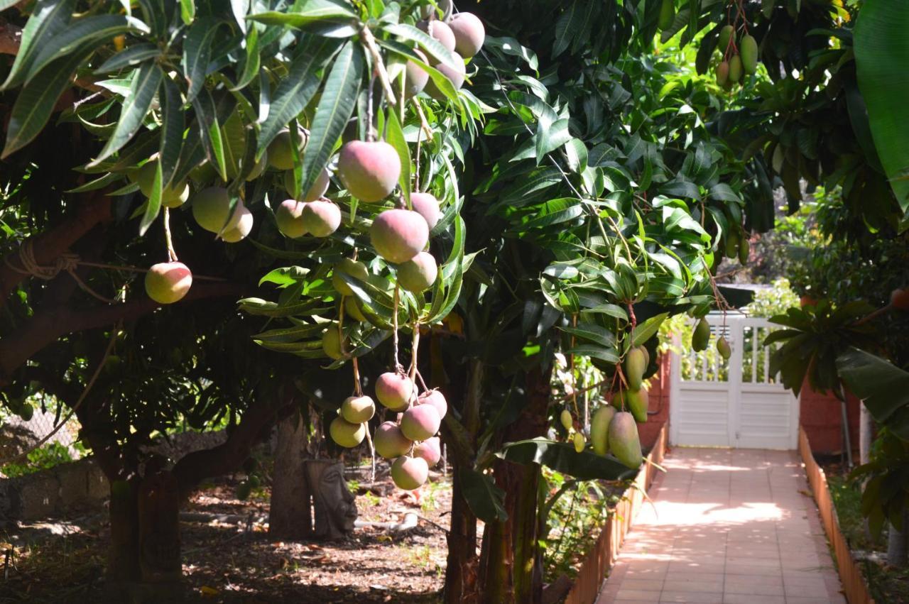Holiday House Tia Lila San Sebastián de la Gomera 外观 照片